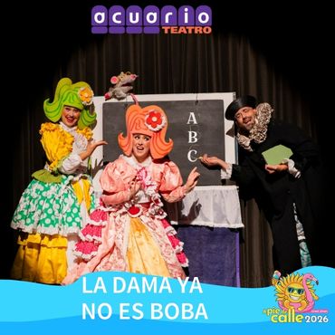 LA DAMA YA NO ES BOBA